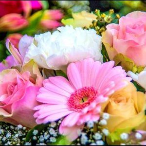 Meet your Posher, Kpanah